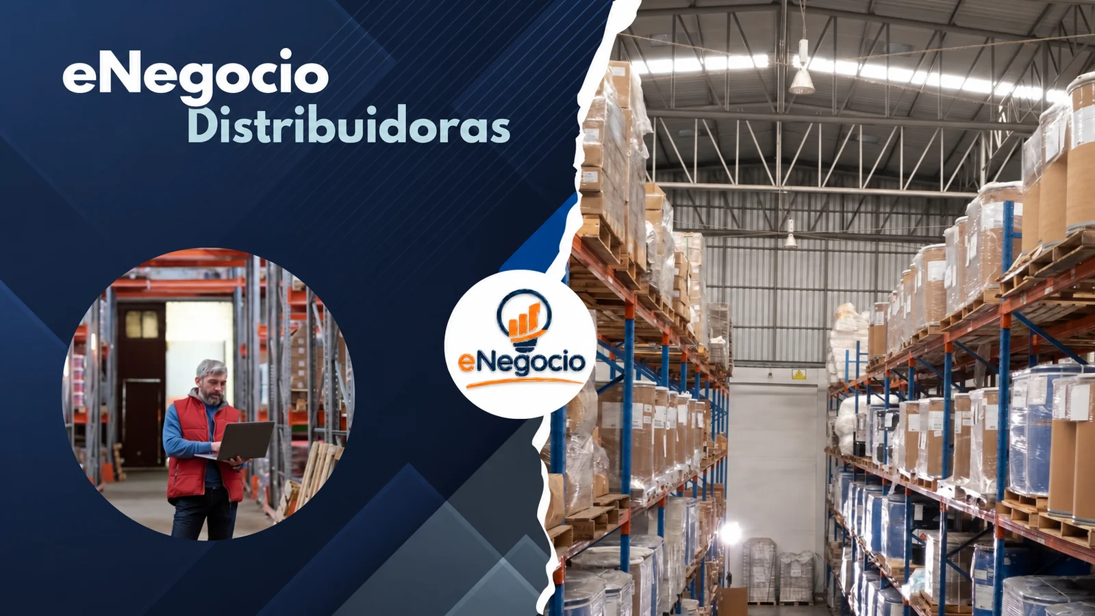 eNegocio para distribuidoras